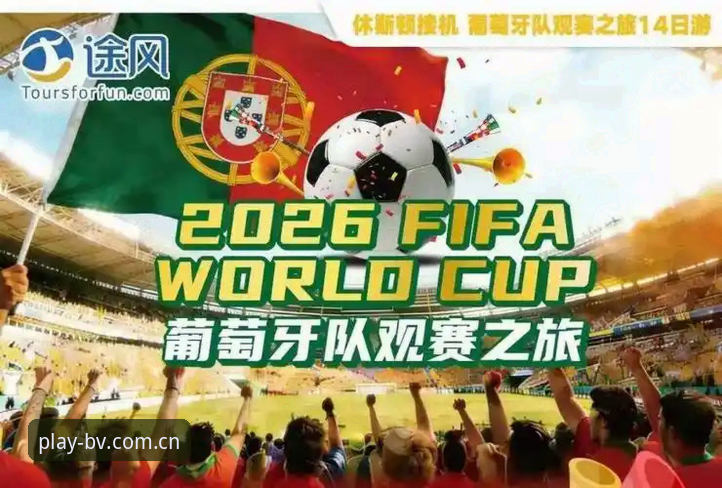 bv宝威注册流程官方下载 世界杯观赛受阻实用指南:从签证难题看宝威体育平台观赛新选择